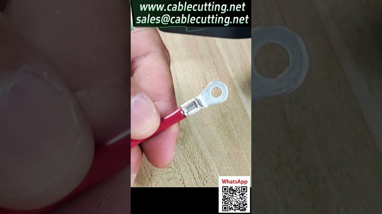 Custom Mold Connection Solutions for Non-Standard Wire Processing