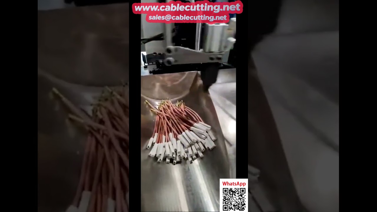 Automatic Dual-Head Crimping and Single-Head Housing Insertion Machine