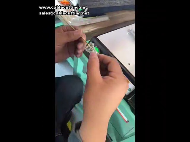 220V Professional Ultrasonic Welding Machine for Plastic Secondary Molding & Soldering Station