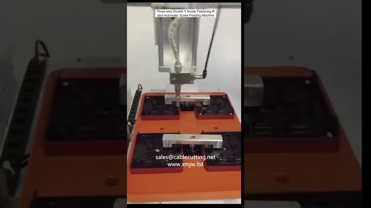 Three axis Double Y Screw Fastening Robot Automatic Screw Feeding Machine