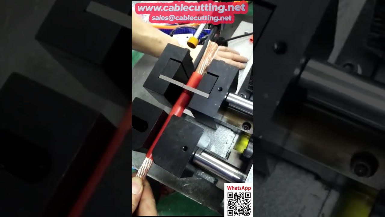 Peladora neumática de una capa