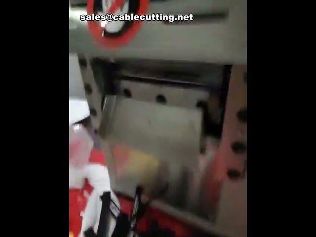 Automatic Cutting Machine Trademark Cutting Machine Zipper Ribbon Cutting Machine