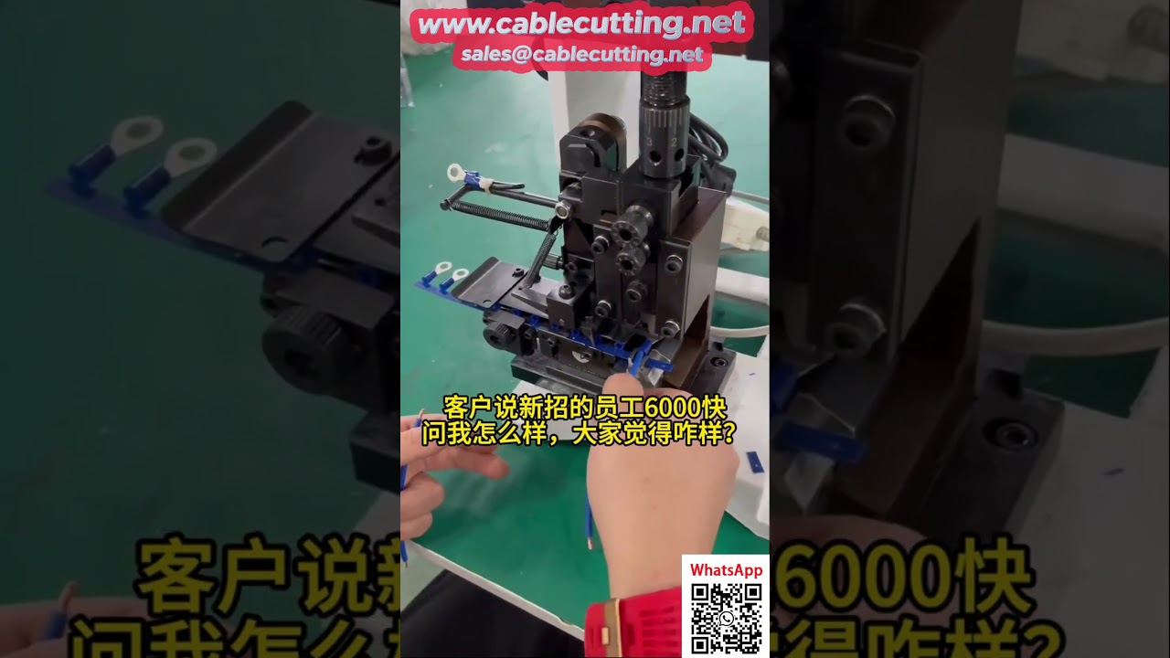 Precision Terminal Machine with Auto Feed and Side Feed Mold