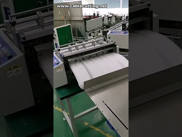 PVC Shrink Film Cutting Machine, Plastic Packaging Film Cutter, PP Frosted Belt Cutting System