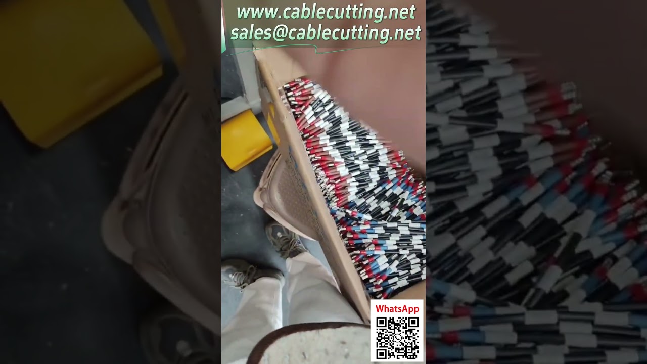 High-Efficiency Terminal Insertion Machine for Wire Processing | Industrial Automation