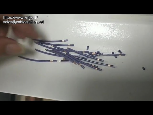 4sqmm Two Electronic Cables Wires Automatic Cutting And Stripping Machine