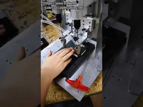 Automatic Screwdriver Machine with Auto Feeding and Screw Tightening System