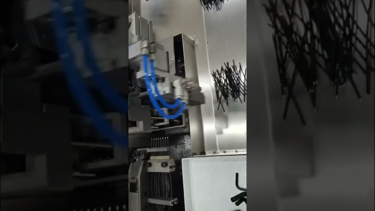 Fully Automatic Double Head Tinning Machine with 1-of-8 Proofing Video