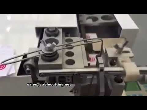 Automatic Label Cut and Fold Machine