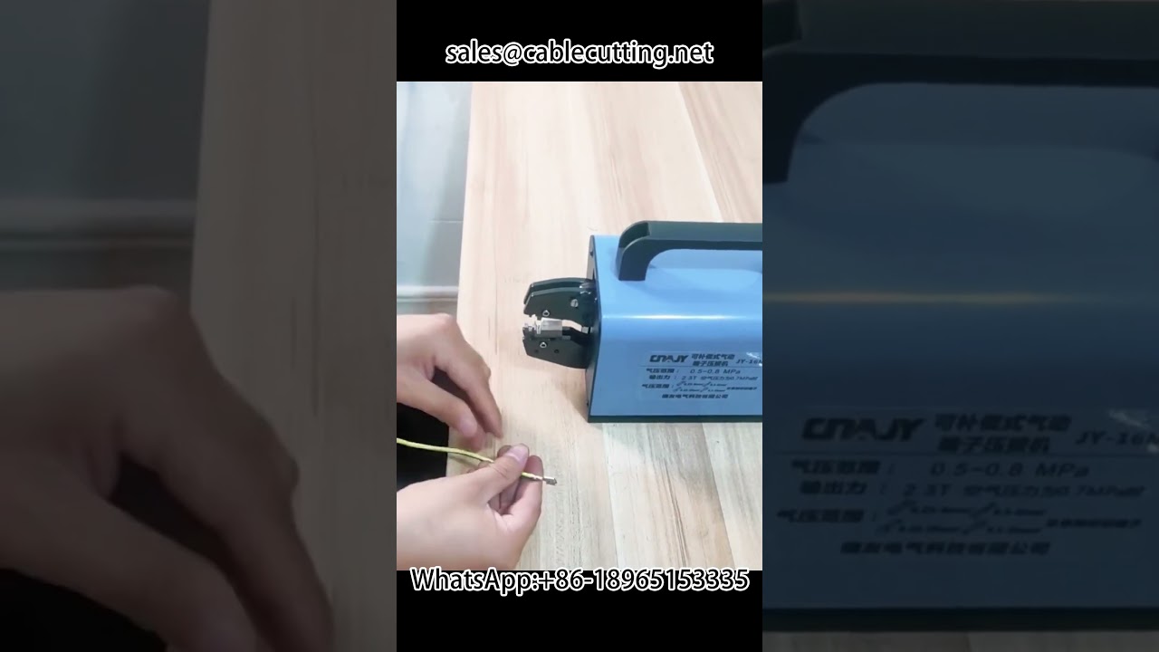 Custom Inserted Spring Terminal Crimping Machine for 2-8-6-3 Spring Terminals