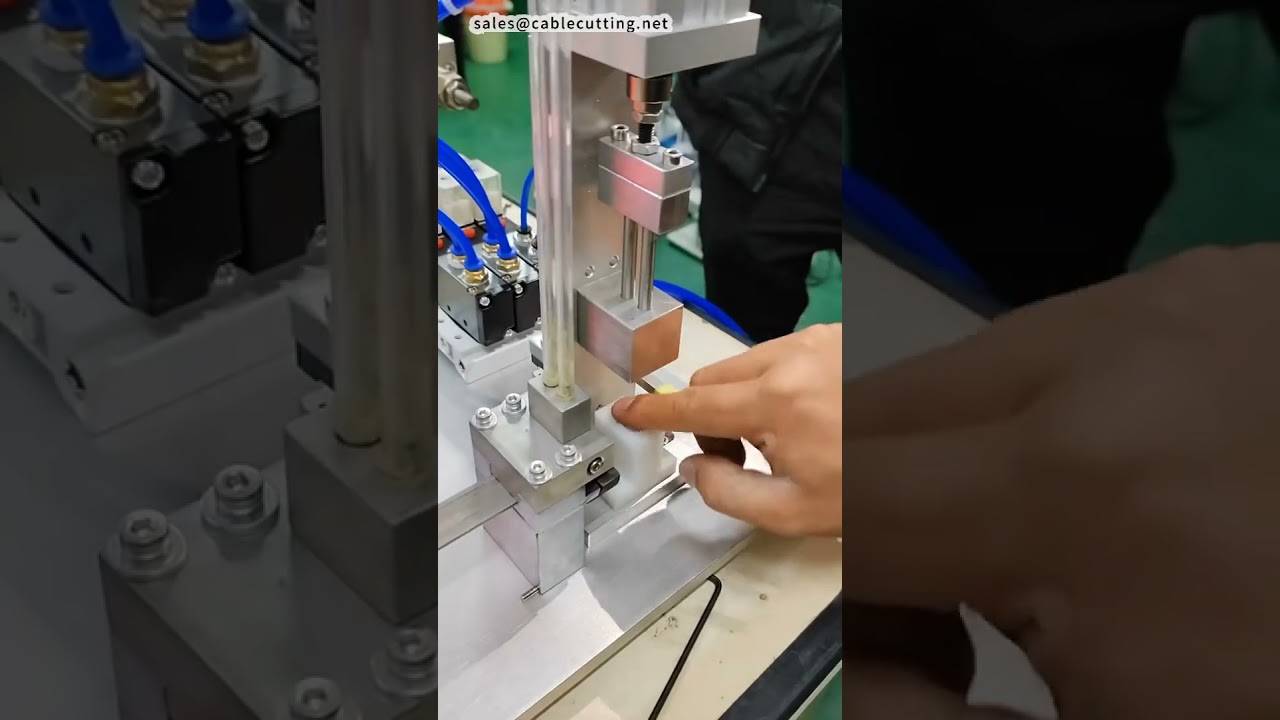 Magnet Assembly Press Machine For Various Magnet Shapes | Factory Automation