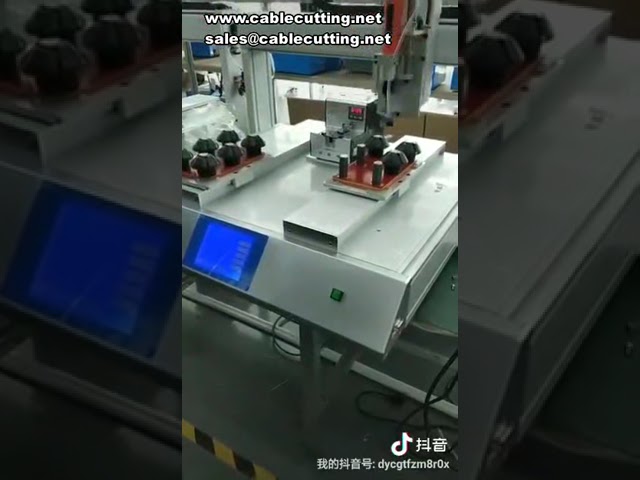 Double Platform Dual Y-Axis Dual Track Alternating Work Dispenser