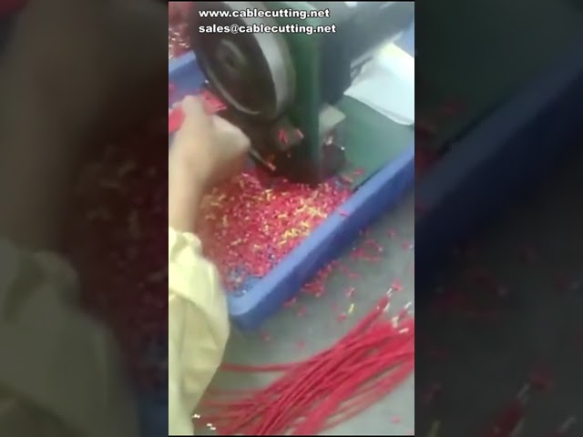 100-T Half Stripping and Twisting Machine | Wire Peeling and Twisting Automation