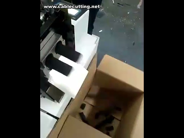Automatic Rubber Band Cutting Machine | High-Speed Industrial Band Cutter