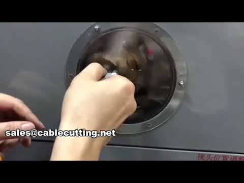 Automatic Teflon Tape Wrapping Machine WPM-13-08