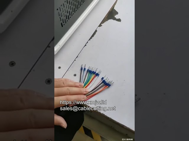 Automatic Wire Stripping and Ferrule Crimping Machine