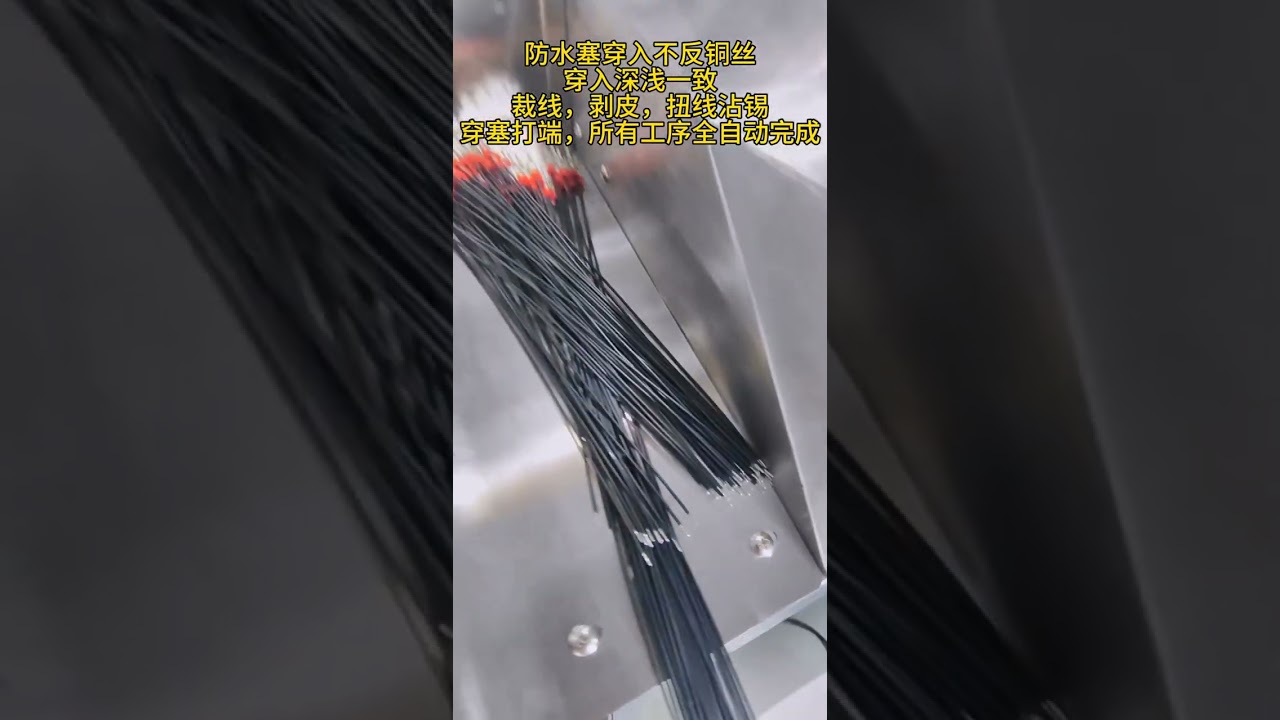 Single-End Tinning and Rain Plug Insertion Machine