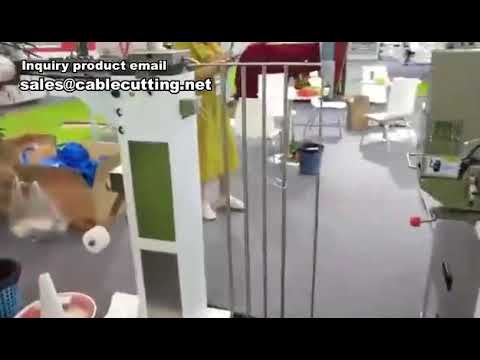 Automatic Wire Seal Inserting Crimping Machine,Wire Seal Inserting Crimping Machine,Automatic Wire S