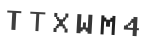 Verification Code Image